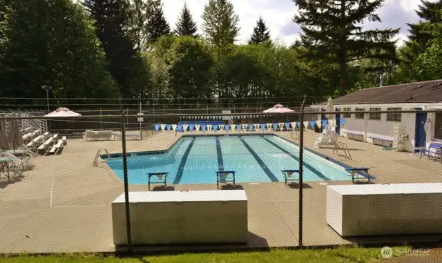 Community pool.