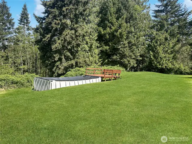 Pool hasn't been used or serviced in years but could still be plenty of fun this summer!  virtually enhanced grass.