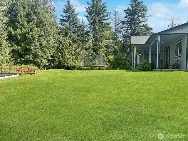virtually enhanced grass.