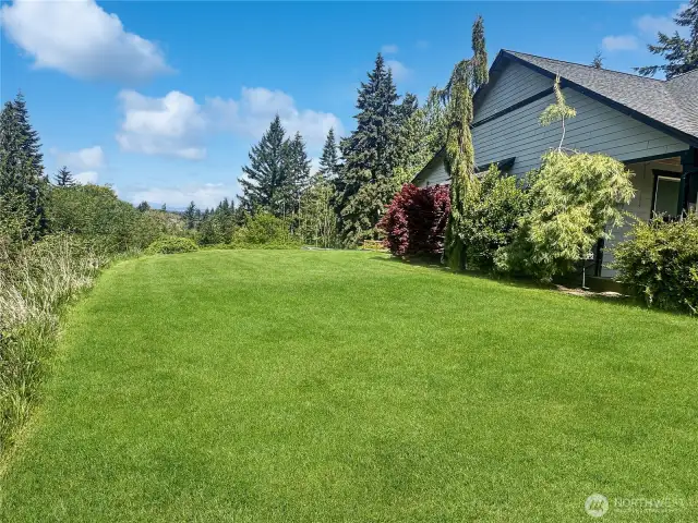 virtually enhanced grass