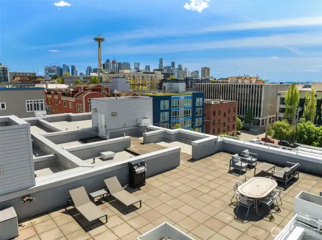 View from the Roof Deck
