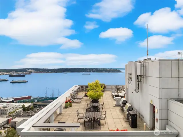 View of the upper roof terrace.