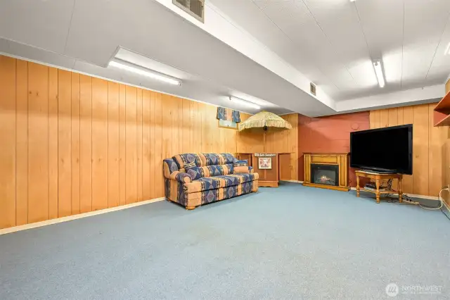 Rec Room Basement