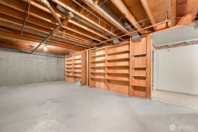 Tons of basement storage