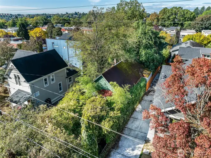Arborist report provided; no tree removal restrictions noted. Buyer to verify. Sewer scope (clean!) also provided upon request from listing brokers!