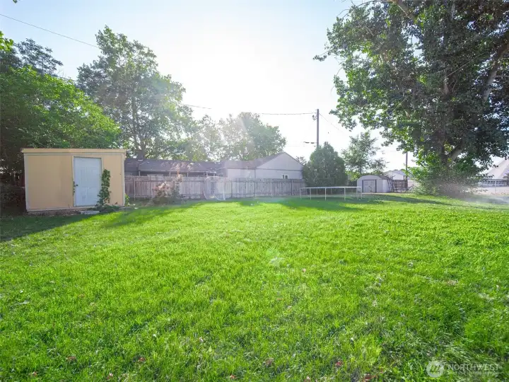 Backyard and shed