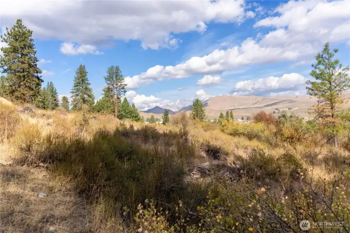 Multiple views & build site potential