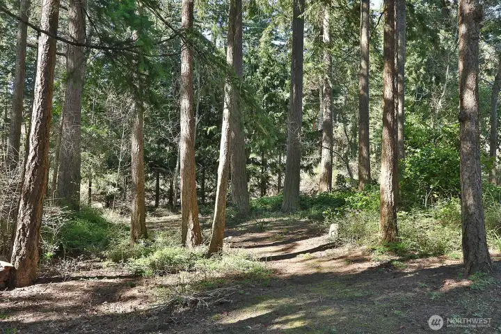 Trees on the gentle drive offer seclusion.