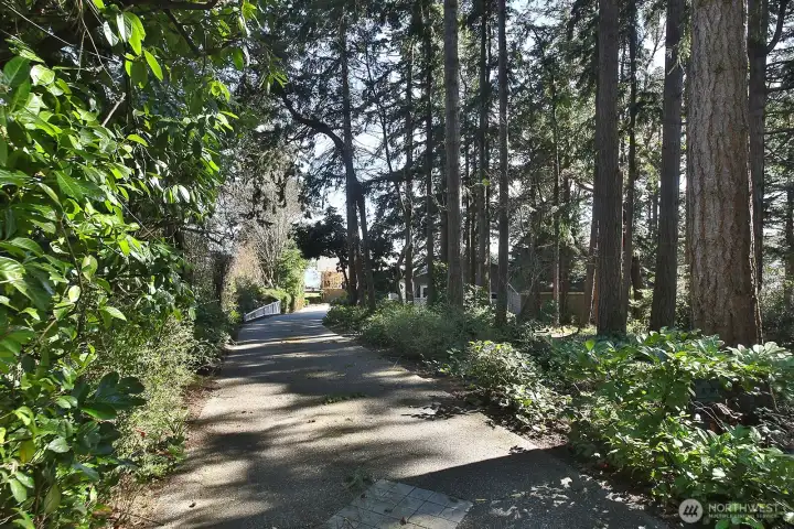 Peaceful wooded drive.
