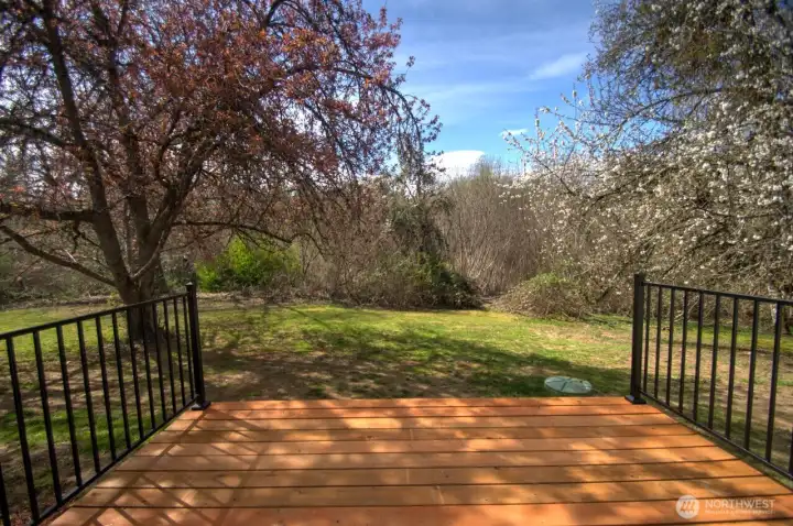 Large deck off main floor primary