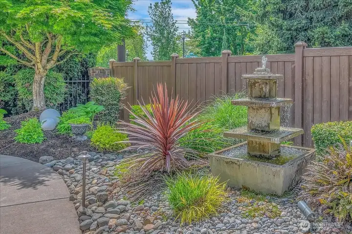 Back Yard/Water Feature
