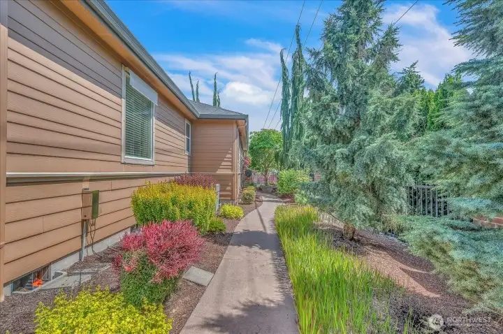 Side Yard/Walking Pad
