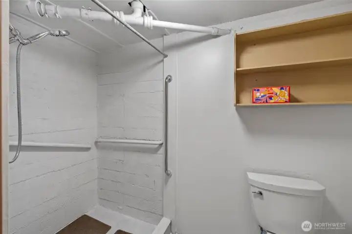 Lower level 3/4 bath