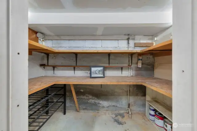 Basement level pantry / storage room with built-in shelving