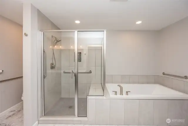 Primary bathroom walk-in shower and soaking tub