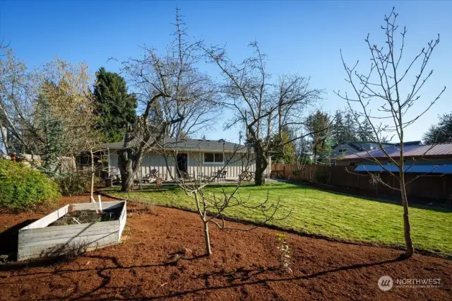 Back yard offers lots of space to garden, gather, BBQ, etc