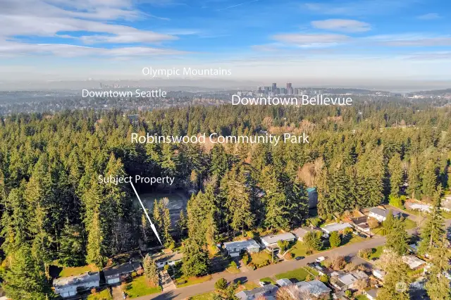 Great Bellevue location in a quiet neighborhood