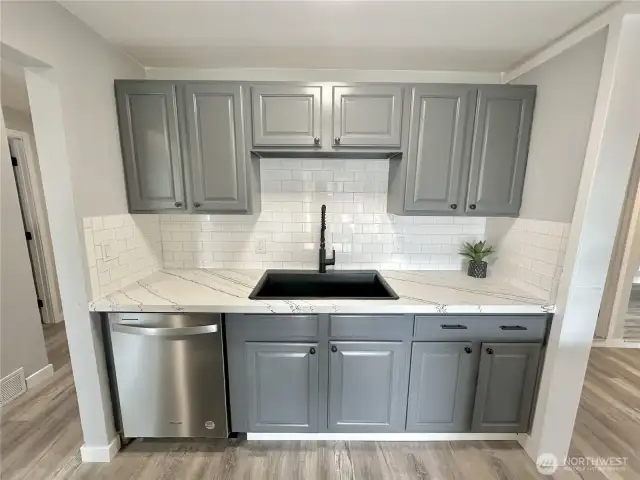 Kohler sink with pullout faucet