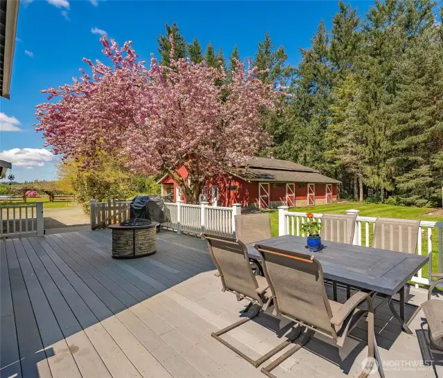 Deck, Backyard and Shop/Stable