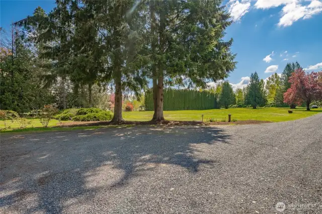 Front field - level sandy loam - exterior property is fully fenced.