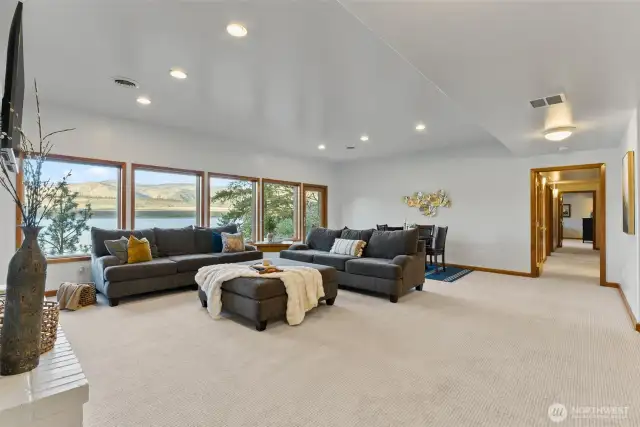 Lower level living room