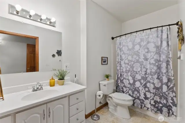 Lower level guest full bath
