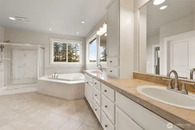 Massive bathroom in primary bed