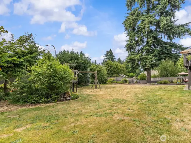 This property is 18,300 Square Feet.  This is a portion of the back yard. Archery anyone?!  The old play structure has now been removed.