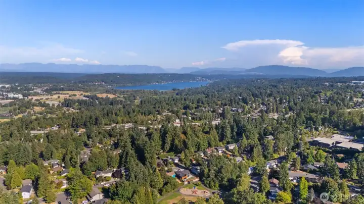 Surrounded by nature, connected to it all. Just minutes to Microsoft, future light rail, and some of the Eastside’s best parks, schools, and trails.