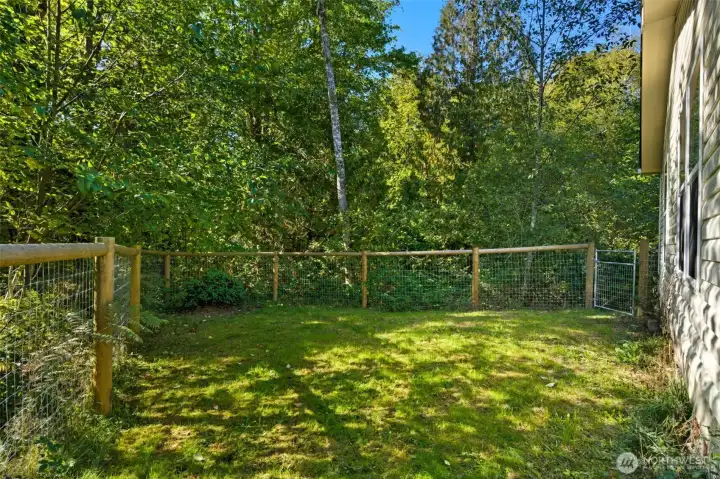 More of the fenced backyard