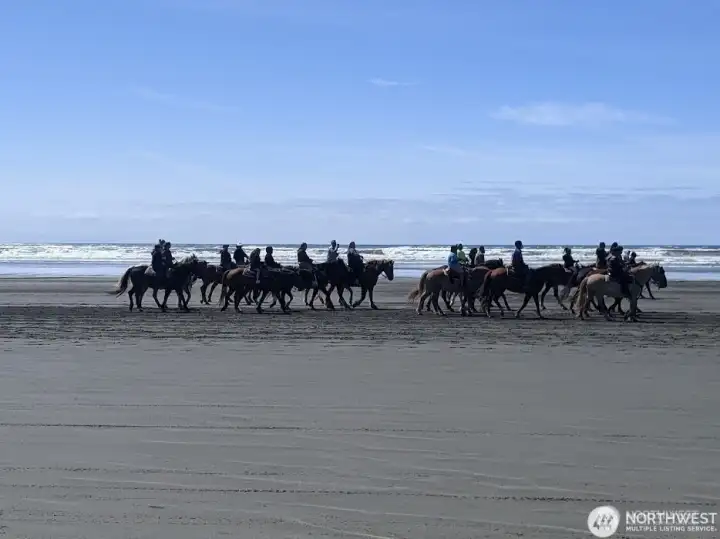 Horseback riding on the beach