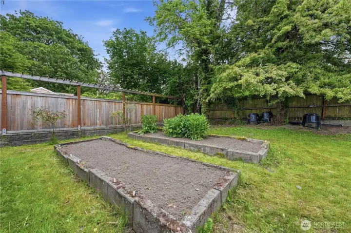 Gardening area in backyard