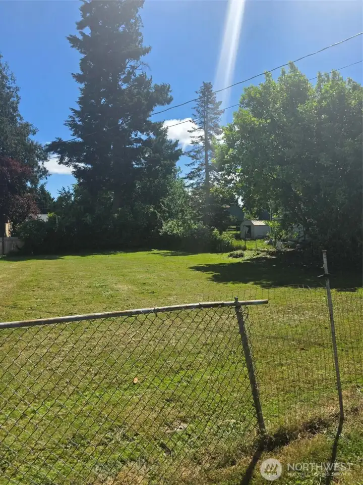 Building lot looking east from Snyder Avenue.