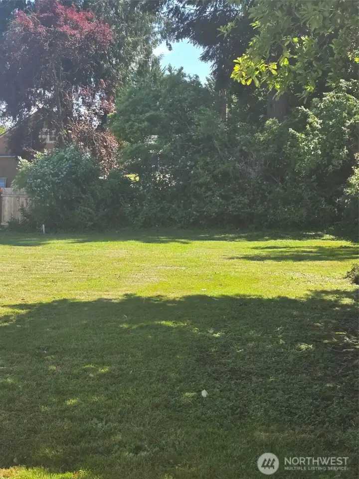 Looking east.  Note the heavy natural growth provides privacy