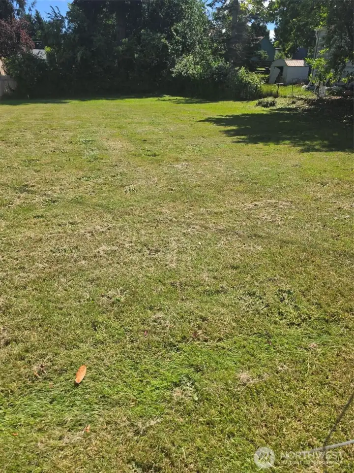 Lots of the lot?