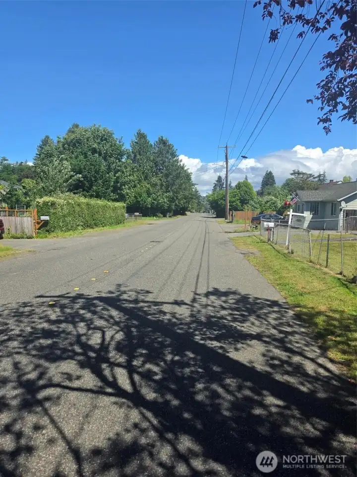 Snyder Avenue looking north.