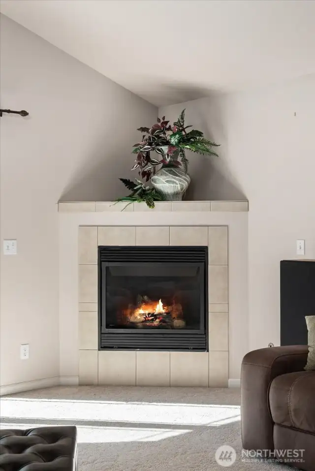 Gas fireplace
