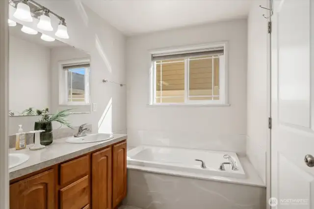 Master Bathroom - jetted tub