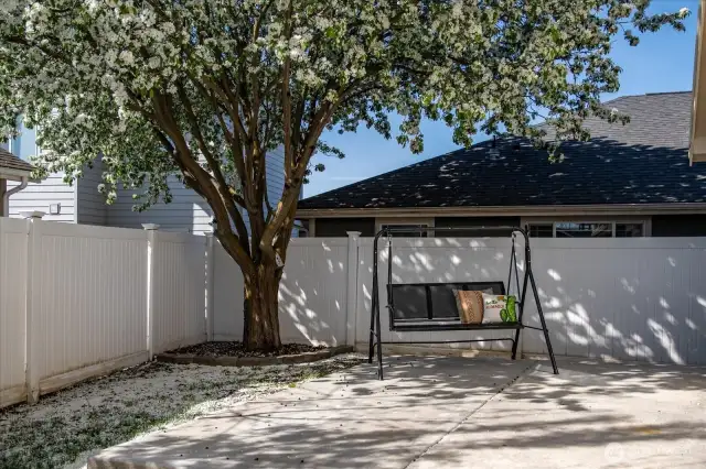 Backyard - fully fenced with UGS