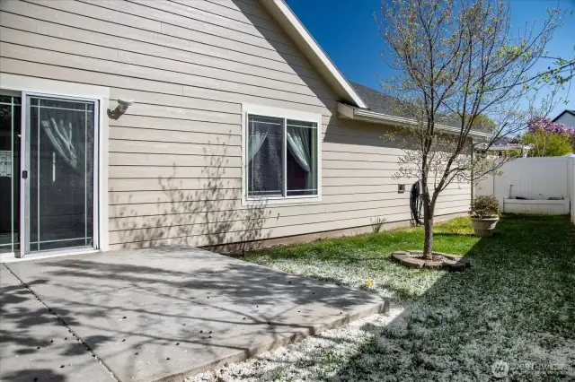 Backyard - fully fenced with UGS
