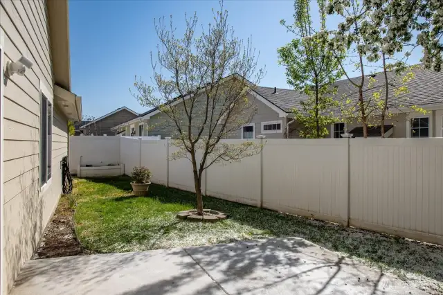 Backyard - fully fenced with UGS