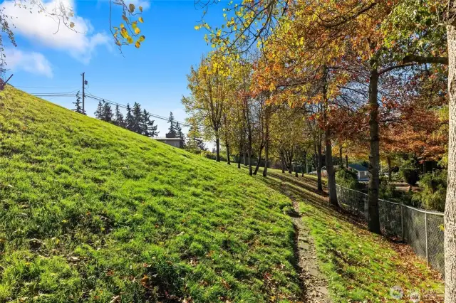 Fully Fenced Dog Run on Property!