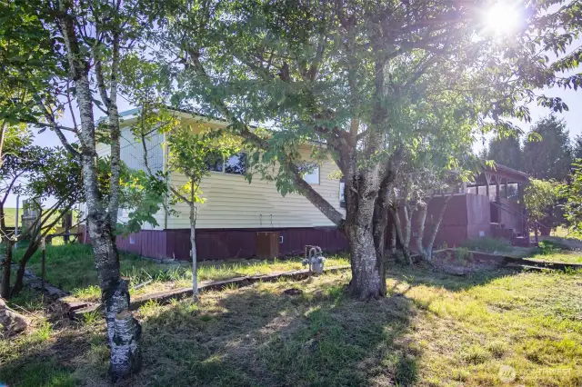 Trees around the home provide nice shade and additional privacy.