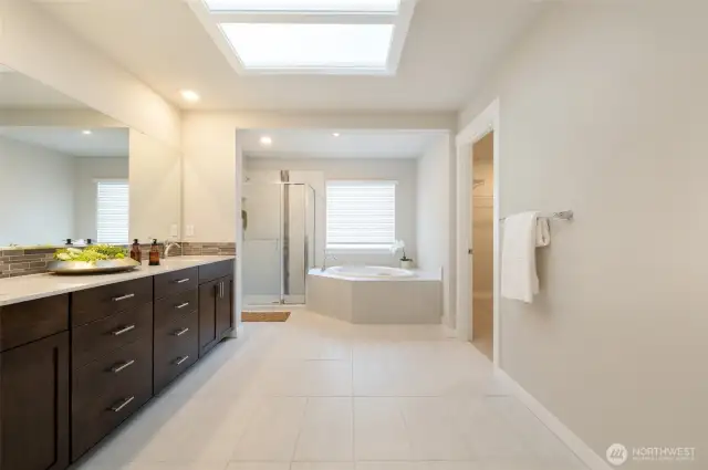 Primary Bathroom With Skylight