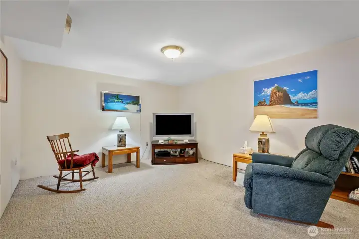 Lower Level Family Room
