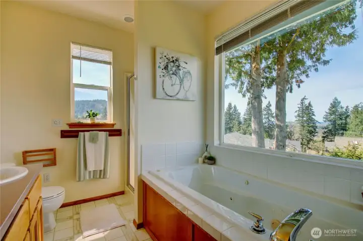 soaking tub with a view