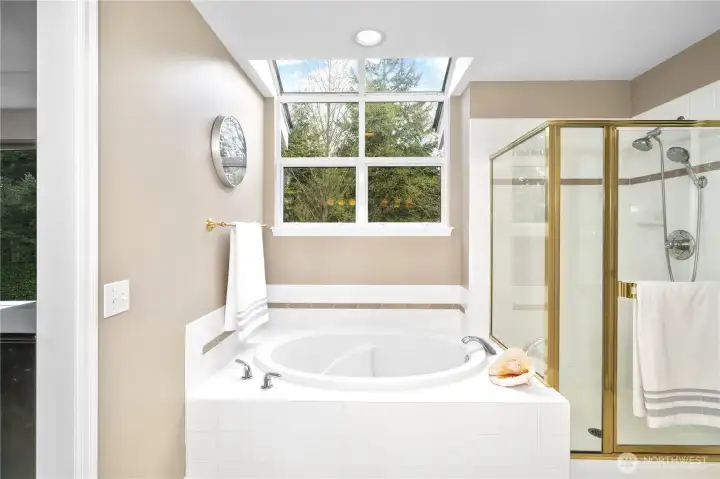 Primary bath and shower