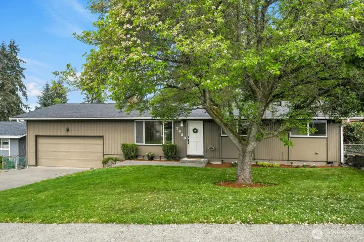 South-facing home with a mature magnolia providing natural shade South-facing home with a mature magnolia providing natural shade