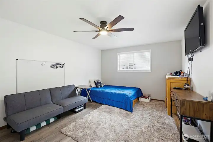 Downstairs bedroom