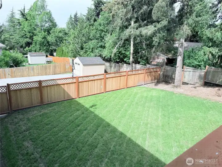 fully fenced backyard